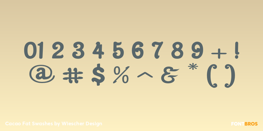 Cacao Fat Swashes Font Poster #4