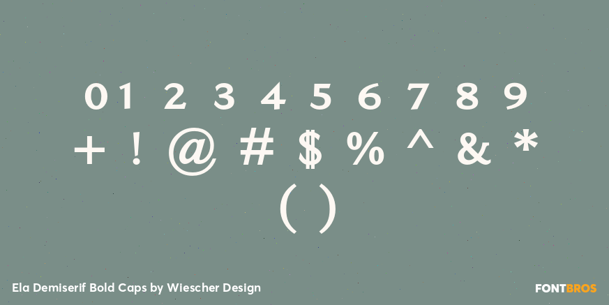 Ela Demiserif Bold Caps Font Poster #4
