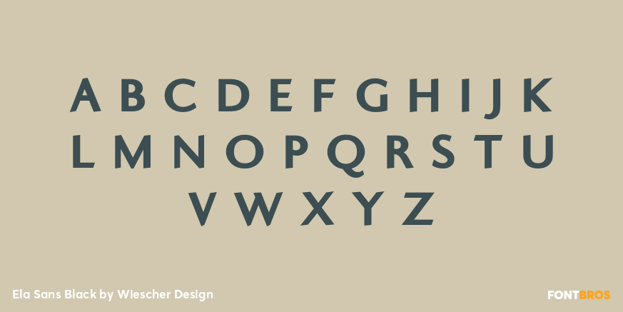 Ela Sans Black Font Poster #2