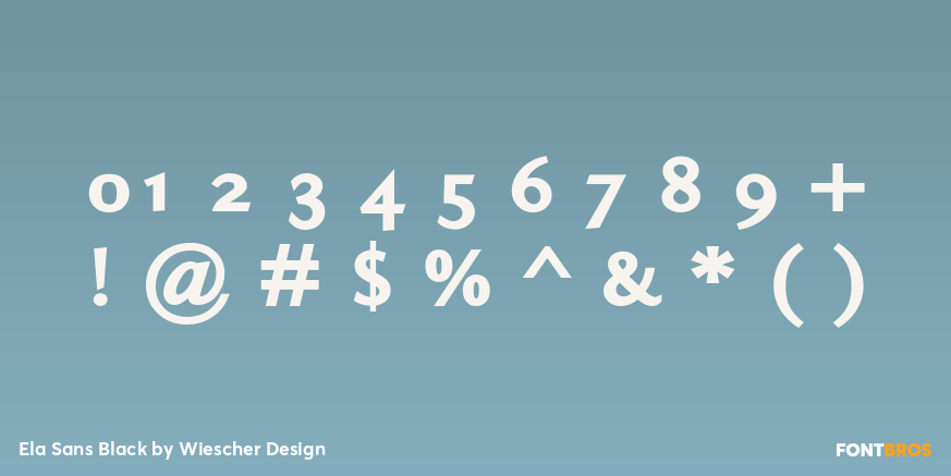 Ela Sans Black Font Poster #4