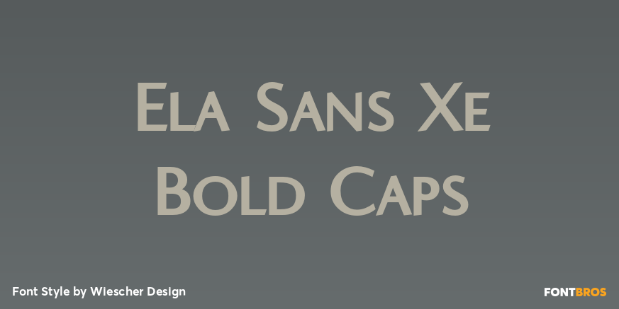 Ela Sans Xe Bold Caps Poster