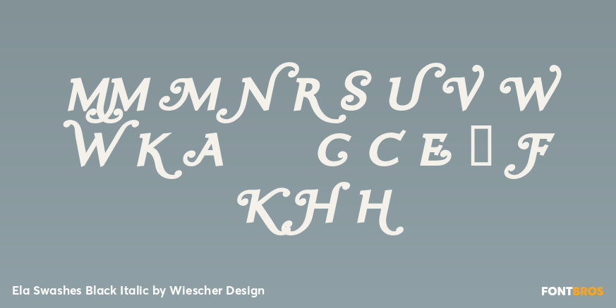 Ela Swashes Black Italic Font Poster #4