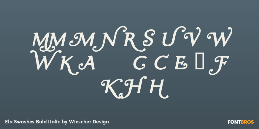 Ela Swashes Bold Italic Font Poster #4