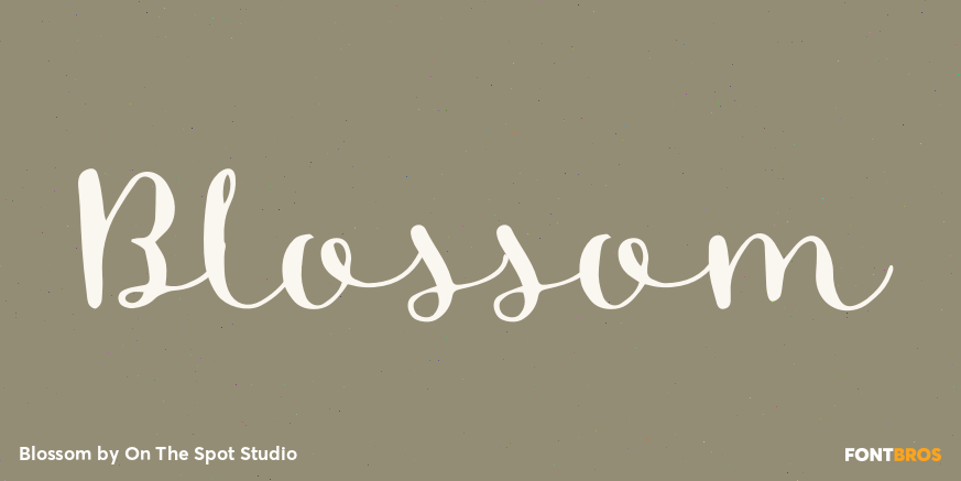 Blossom Font Family Poster