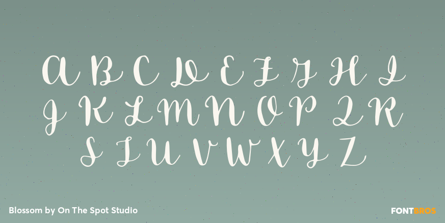 Blossom Font Poster #2