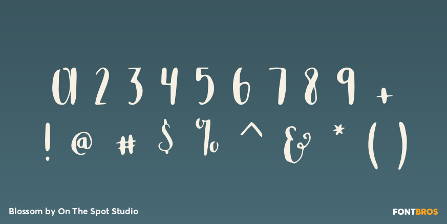 Blossom Font Poster #4