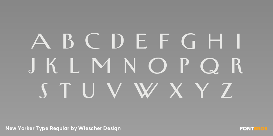 New Yorker Type Regular Font Poster #3