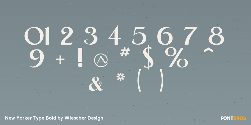 New Yorker Type Bold Font Poster #4