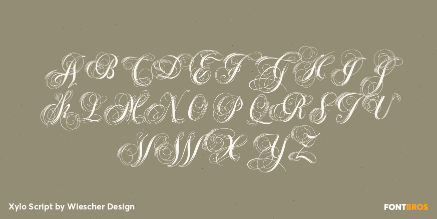 Xylo Script Font Poster #2