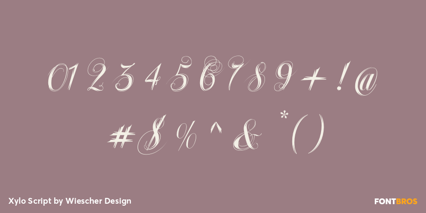 Xylo Script Font Poster #4