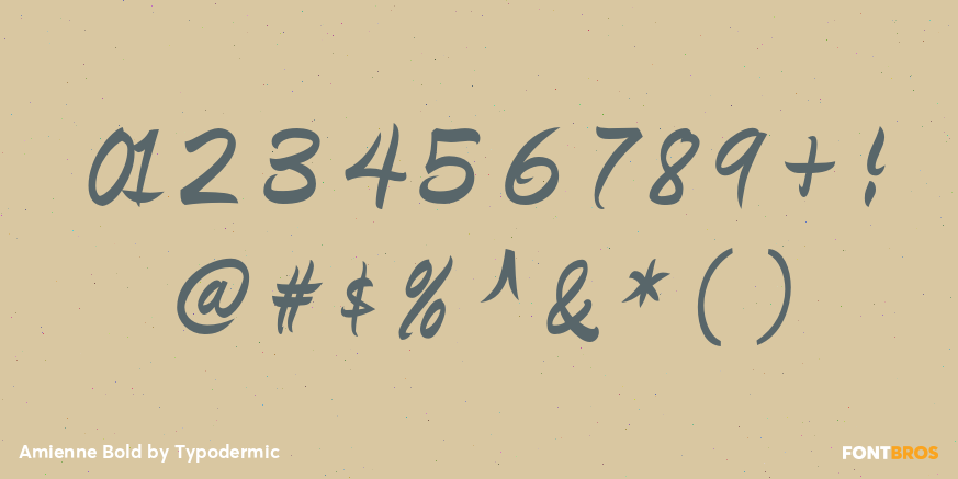 Amienne Bold Font Poster #4