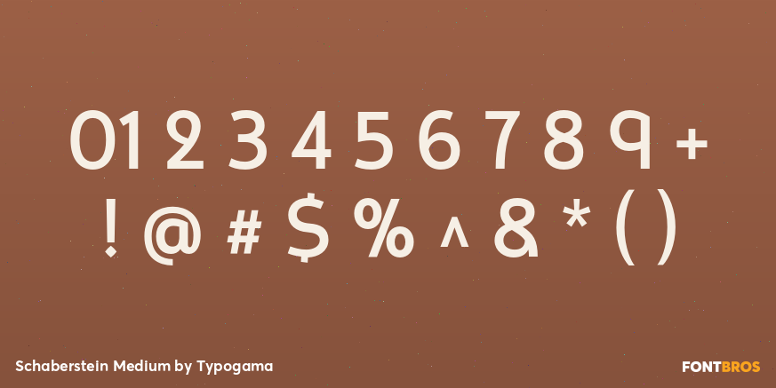 Schaberstein Medium Font Poster #4