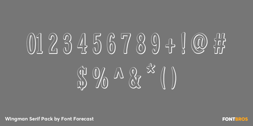 Wingman Serif Pack Font Poster #1