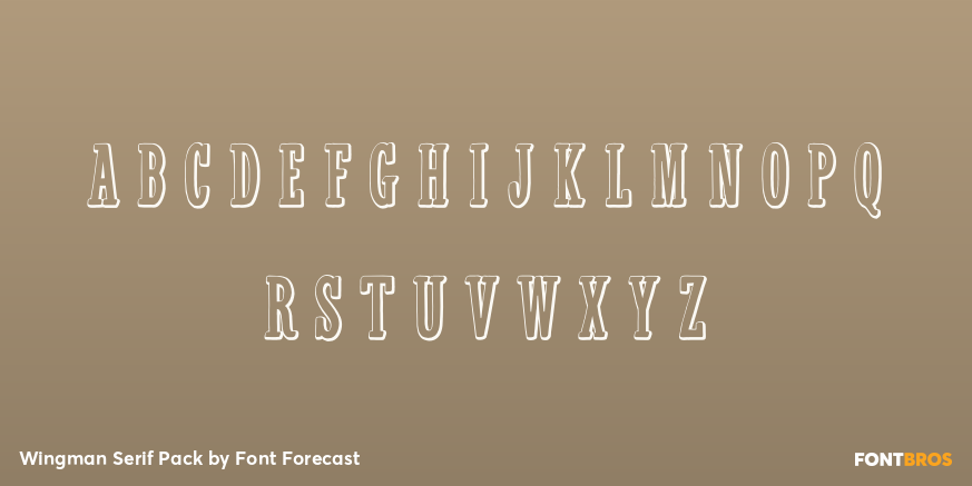 Wingman Serif Pack Font Poster #3