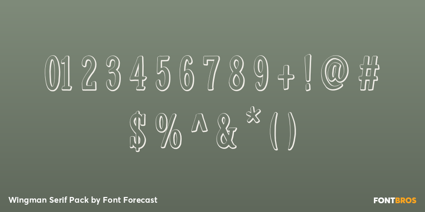 Wingman Serif Pack Font Poster #4