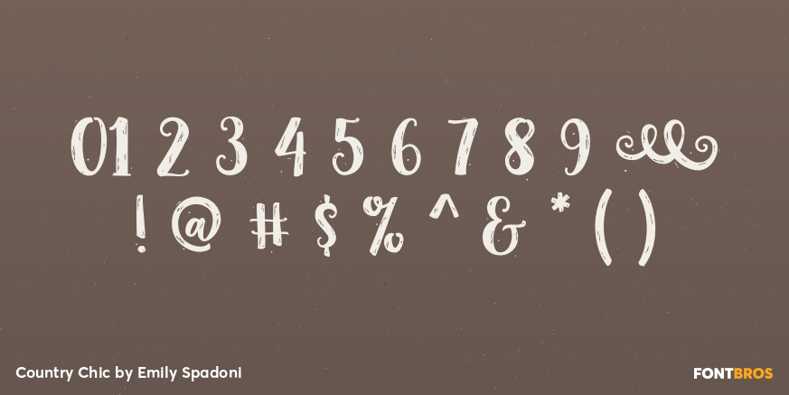 Country Chic Font Poster #4