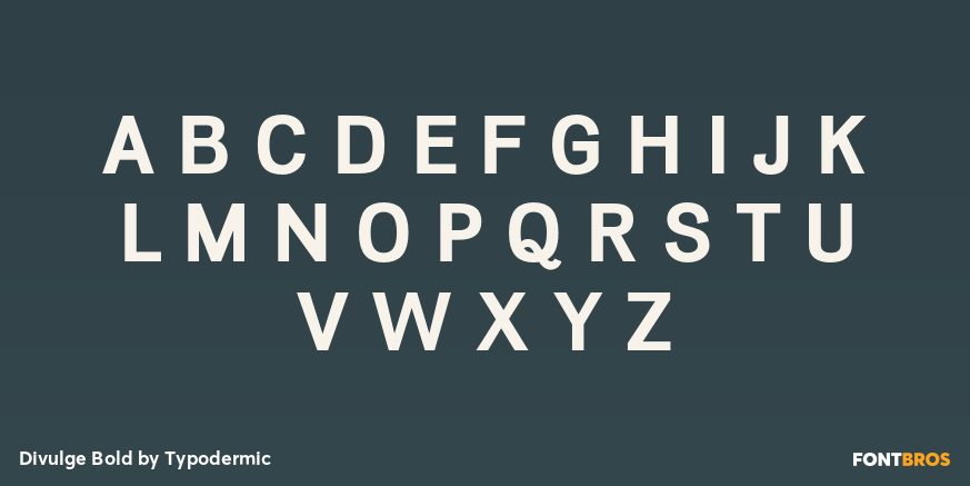 Divulge Bold Font Poster #2