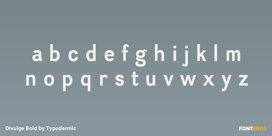 Divulge Bold Font Poster #3