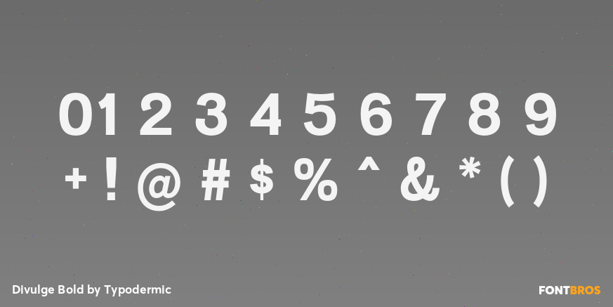 Divulge Bold Font Poster #4