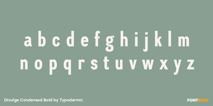 Divulge Condensed Bold Font Poster #3