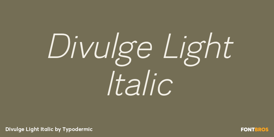 Divulge Light Italic Font Poster #1