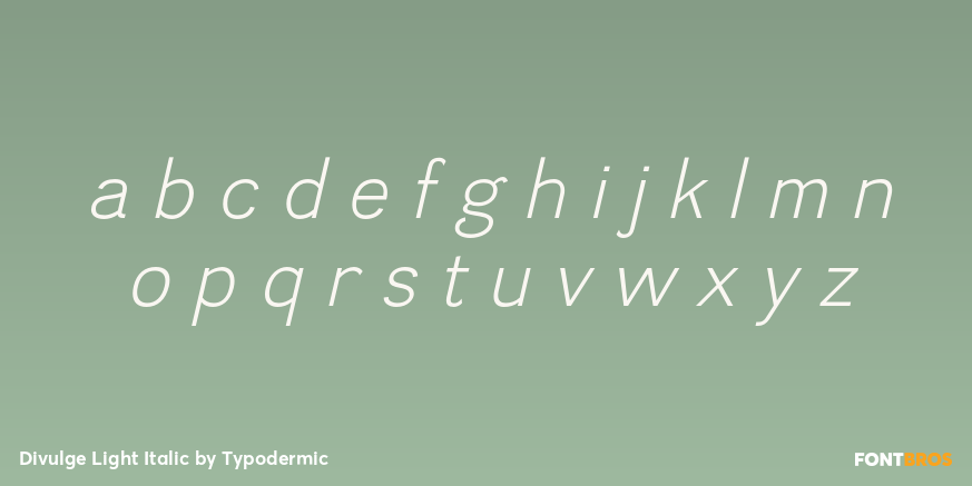 Divulge Light Italic Font Poster #3