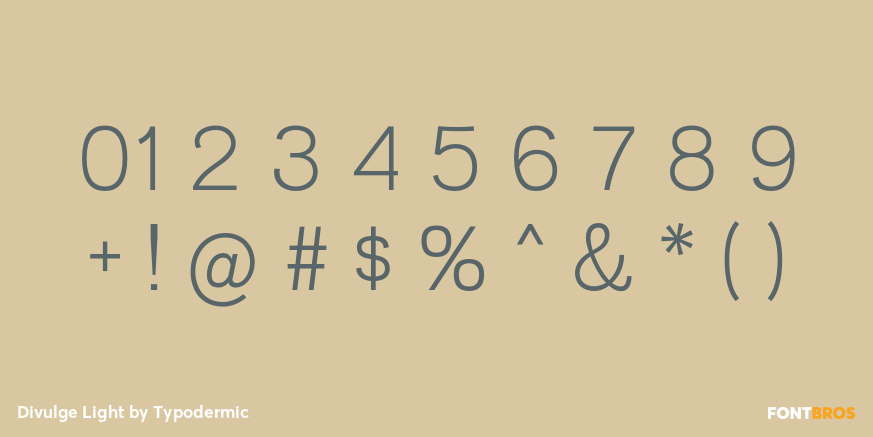Divulge Light Font Poster #4