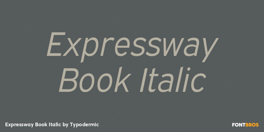 Expressway Book Italic Font Poster #1