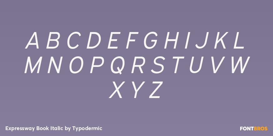 Expressway Book Italic Font Poster #2