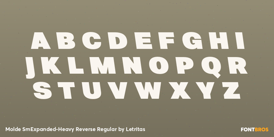 Molde SmExpanded-Heavy Reverse Regular Font Poster #2