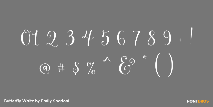 Butterfly Waltz Font Poster #4