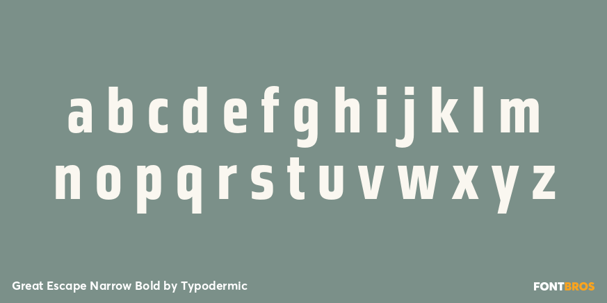 Great Escape Narrow Bold Font Poster #3