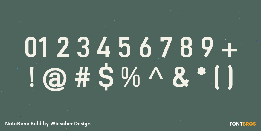 NotaBene Bold Font Poster #1