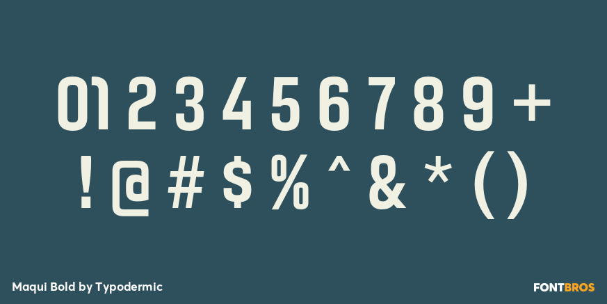 Maqui Bold Font Poster #4