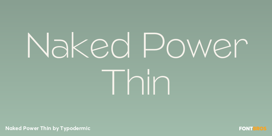 Naked Power Thin Font Poster #1