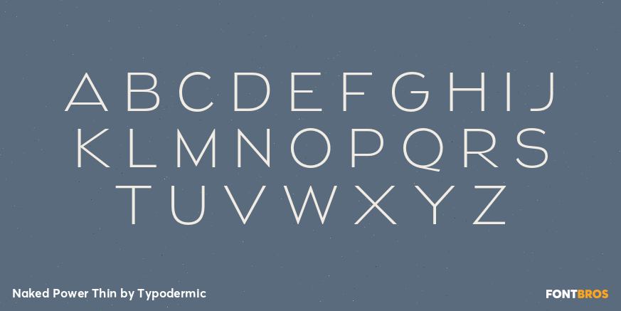 Naked Power Thin Font Poster #2