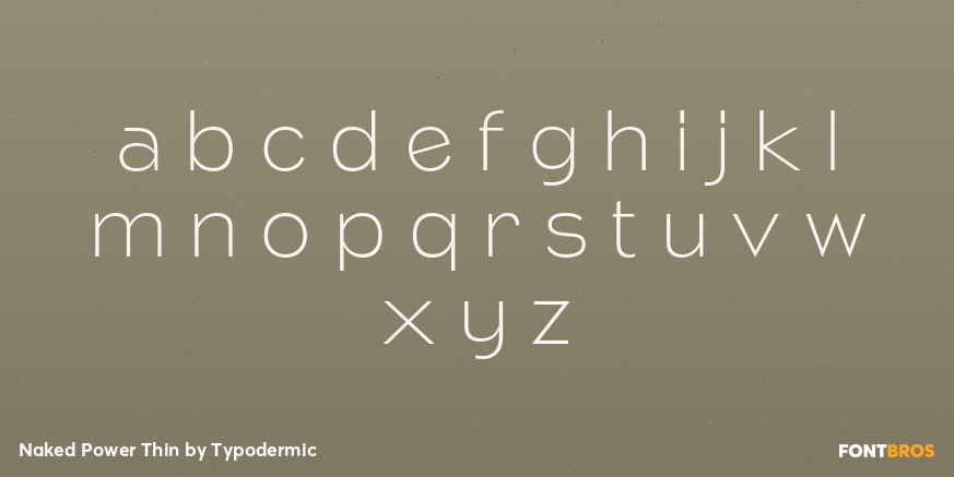 Naked Power Thin Font Poster #3