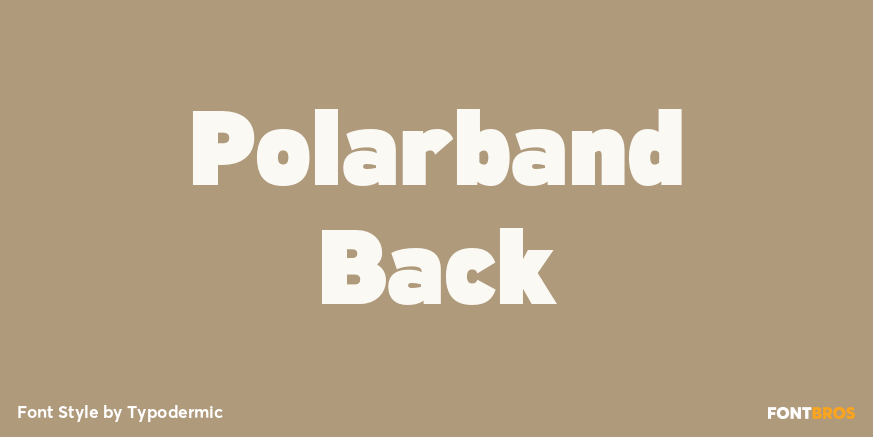 Polarband Back Font Poster #1