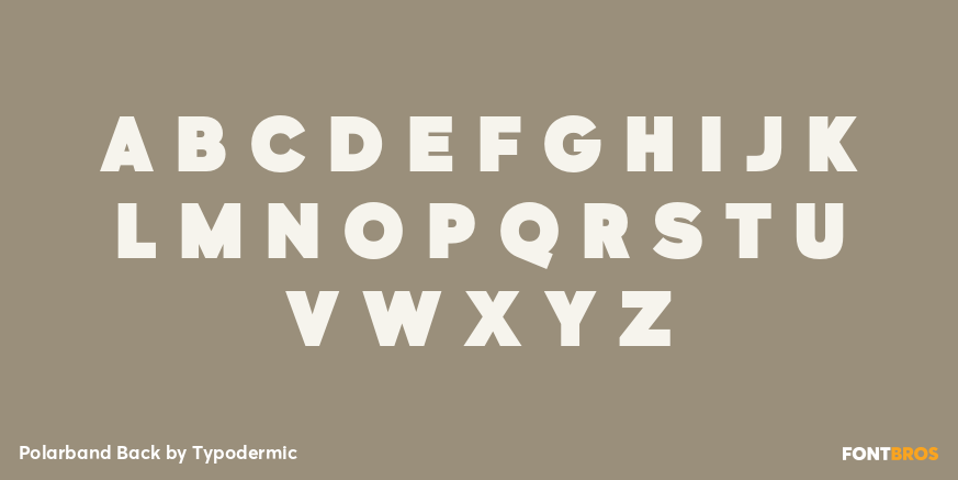 Polarband Back Font Poster #2