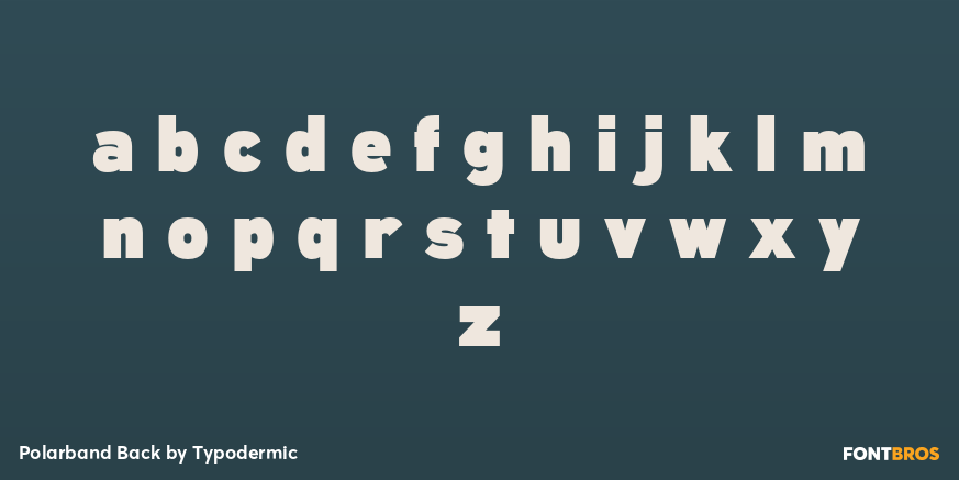 Polarband Back Font Poster #3