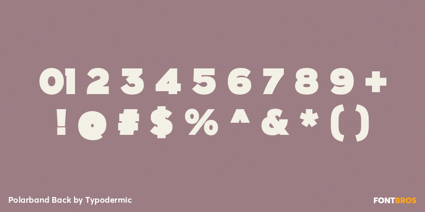Polarband Back Font Poster #4