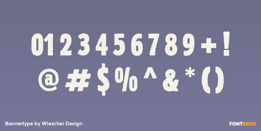 Bannertype Font Poster #1