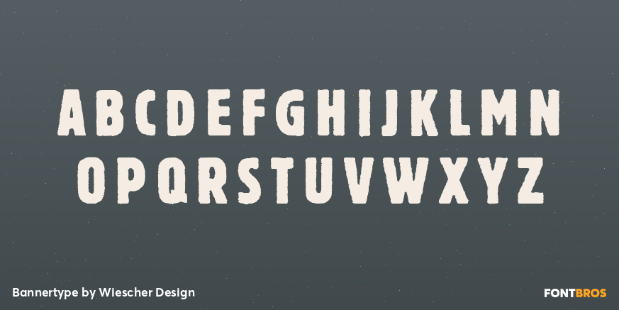 Bannertype Font Poster #1