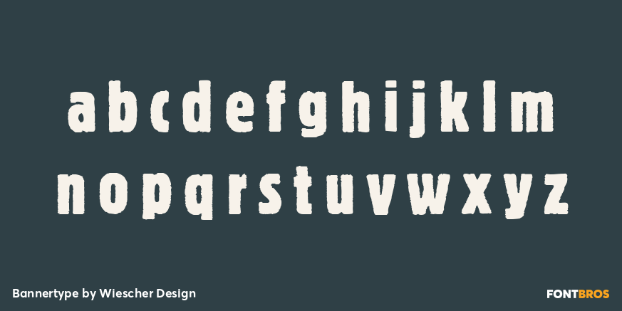 Bannertype Font Poster #1
