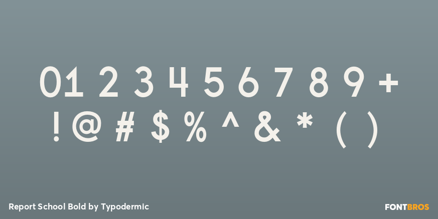 Report School Bold Font Poster #4