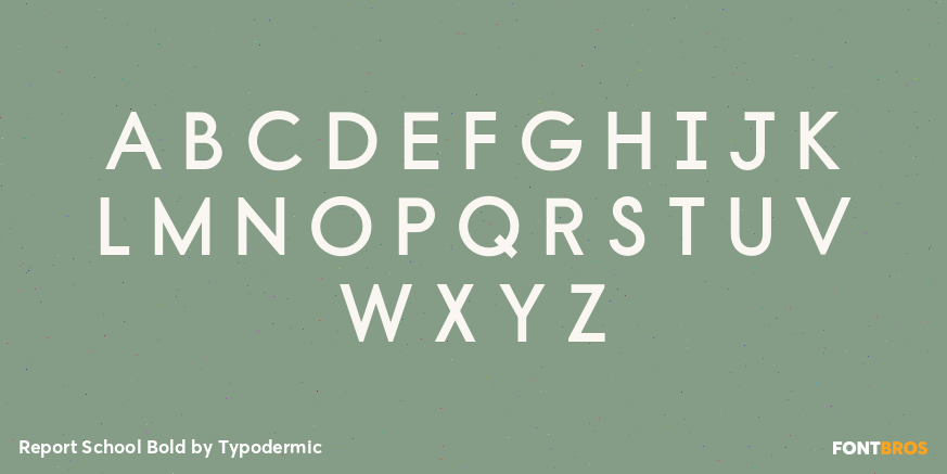 Report School Bold Font Poster #1