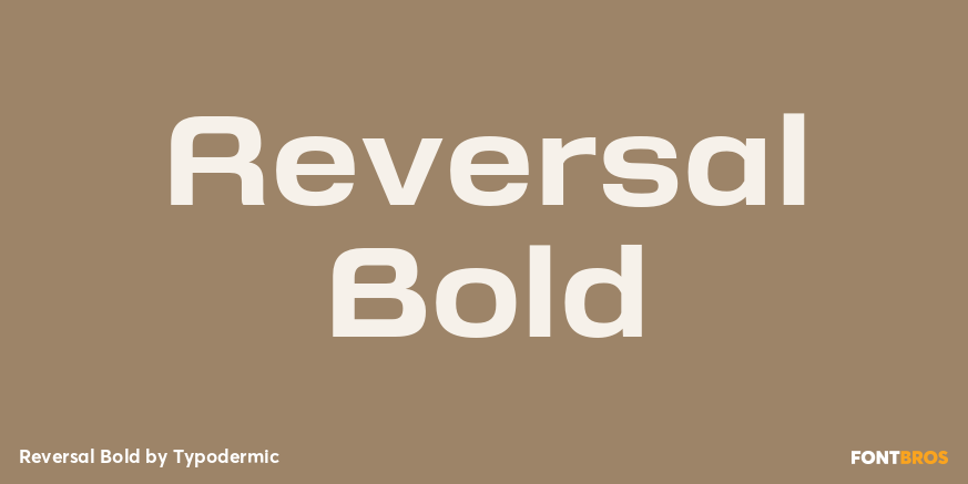 Reversal Bold Font Poster #1