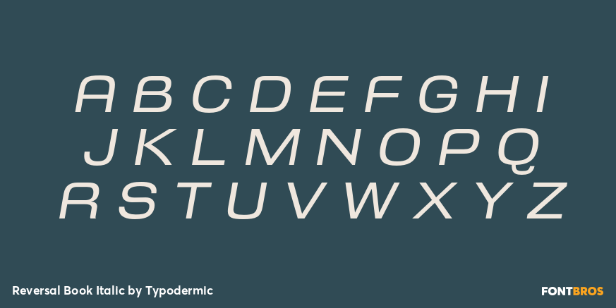 Reversal Book Italic Font Poster #1