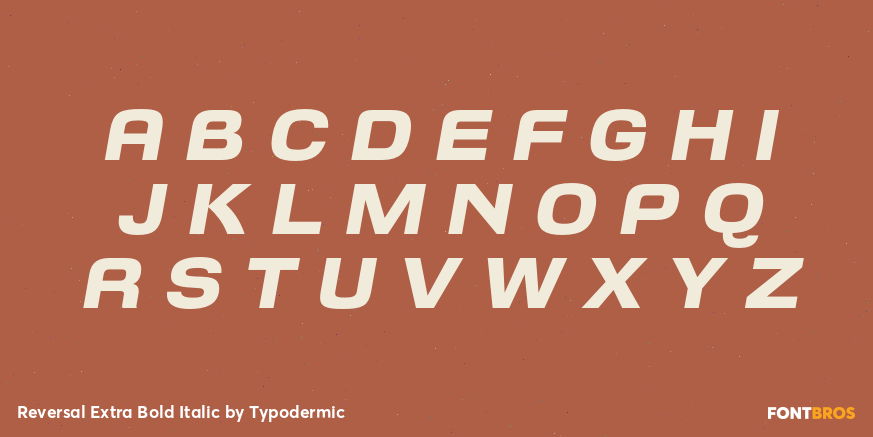 Reversal Extra Bold Italic Font Poster #2