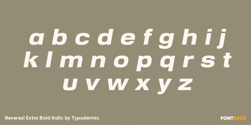Reversal Extra Bold Italic Font Poster #3
